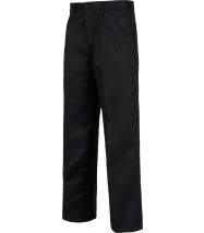 Pantal&oacute;n b&aacute;sico