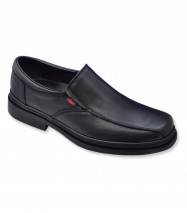 Mocas&iacute;n caballero